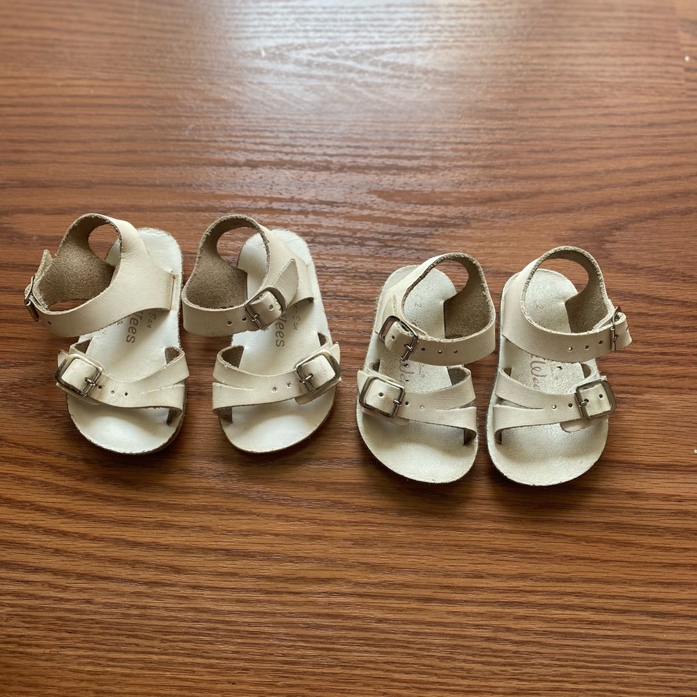 Size 2 and 3 sea wees